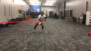 Famous Resisted/assisted continuous crossover step Net Worth