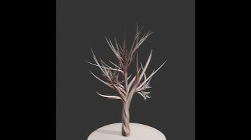 Thorn Tree Variations