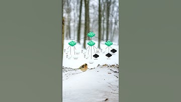 Cisco VLAN lofi #Shorts