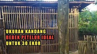 Ukuran kandang bebek petelur ideal untuk 30 ekor