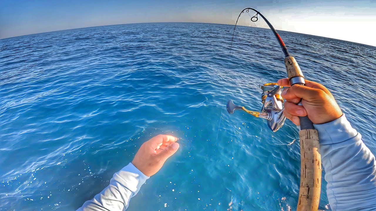 Inshore Wreck Fishing with Jigs & Crabs 