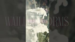 Wailin Storms - The Arsonist (Teaser)
*A fiery baptism of gothic rock*
*Follow Wailin Storms*
Bandcamp: https://wailinstorms.bandcamp.com
Spotify: https://open.spotify.com/artist/2e1J5JQpROgSuT7RcsUbZ2
Apple Music: https://music.apple.com/us/artist/wailin-storms/451185826
YouTube: https://www.youtube.com/@wailin-storms
Facebook: https://www.facebook.com/wailinstorms/
Instagram: https://www.instagram.com/wailinstorms/?hl=en
*Subscribe to Season Of Mist for new releases* ► https://som.lnk.to/YouTube
*Follow Season Of Mist:*
http://www.season-of-mist.com
http://www.facebook.com/seasonofmistofficial
https://www.instagram.com/seasonofmistofficial
https://twitter.com/seasonofmistofficial
http://www.youtube.com/SeasonOfMistLabel
https://open.spotify.com/user/seasonofmist
Season of Mist has always been known for being an innovative and wide spectrum label, interested in exploring and developing new artists and bands. The label represents well-known acts such as HEILUNG, ROTTING CHRIST and CRYPTOPSY, as well as rising stars like EIHWAR, SYLVAINE and TEMIC. Wailin Storms - The Arsonist (Teaser)