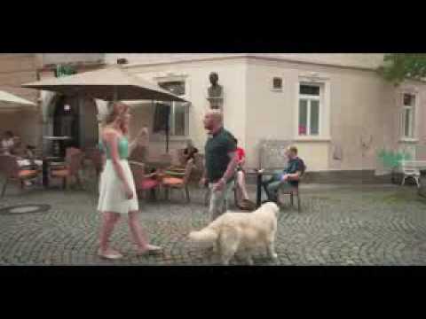 دلوقتى خلاص