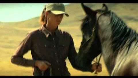 Fundamentals of Horsemanship -- The Backup