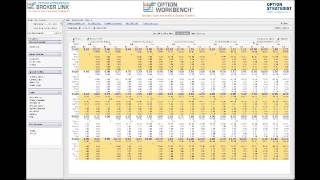 Introduction to Option Workbench 3.0