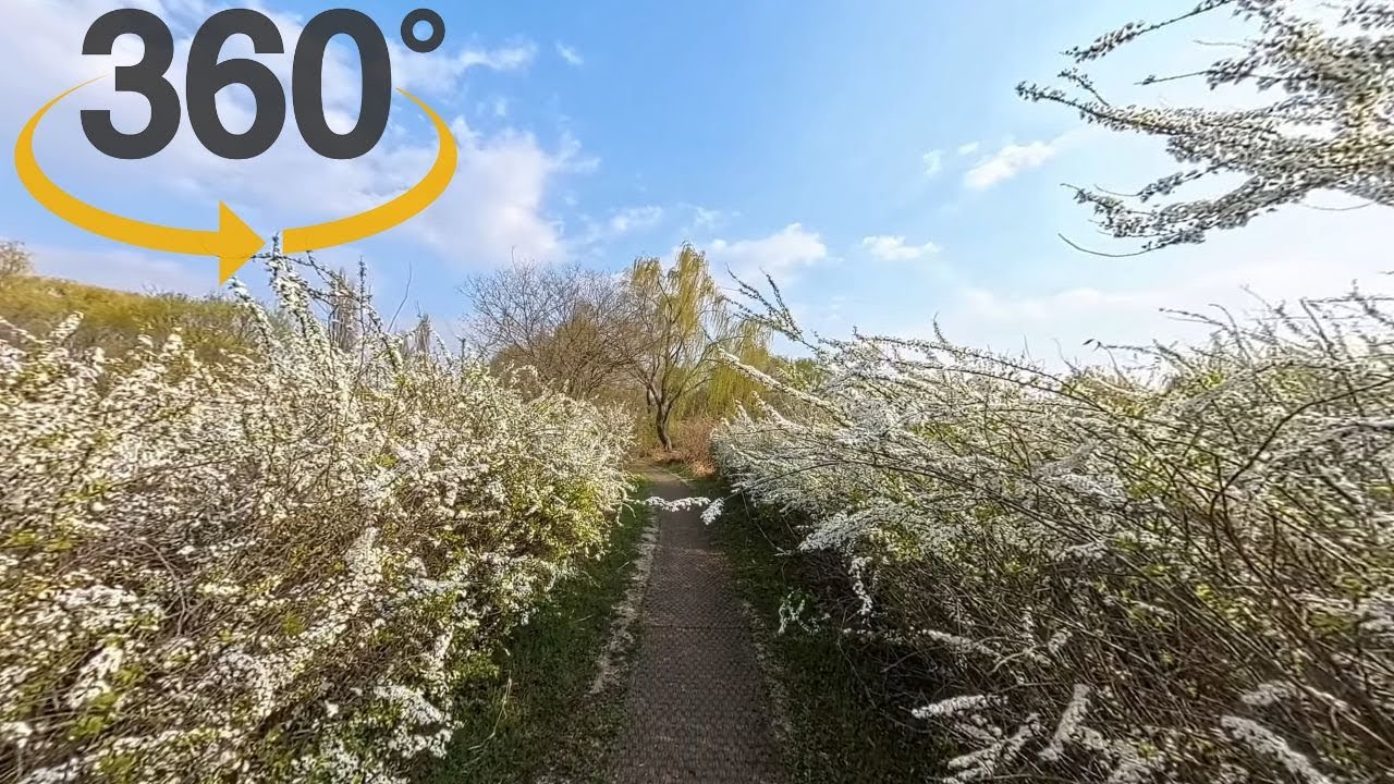 4K 360° VR 한강 사운드스케이프 - 한강 난지공원 - 필드레코딩 - 앰비소닉(Ambisonic) - Insta360 X4, KOREA SOUNDSCAPE