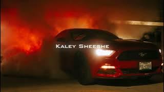 Kaley Sheeshe - ADDY NAGAR (slowed & Reverb)