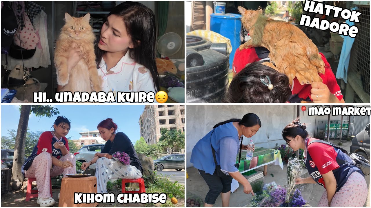 Hattok naram dore echa ga 🤣| Chamomile Thase | Kihom su chaose