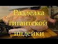 Огромный индюк (разделка индейки) или King size oblomoff