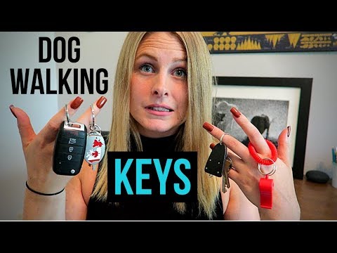 فيديو: مفاتيح المشي الكلب الخاص بك