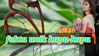 FAKTA UNIK KUPU-KUPU