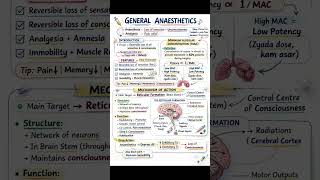 general Anaesthetics #12thclassbiology #pharmacy #psychologylecture