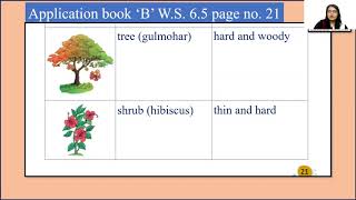 L-6 Application bk B WS - 6.4 (5a,b,c) WS 6.5 (A,B) and WS 6.6 (1,2,3) screenshot 2