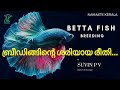 How to Breed Fighter Fish in Malayalam | Betta Fish Breeding | Malayalam | Namaste Kerala