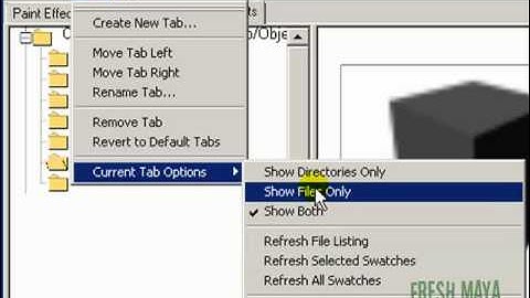 Fresh Maya Video Tutorial:  Visor Library (Part 2)