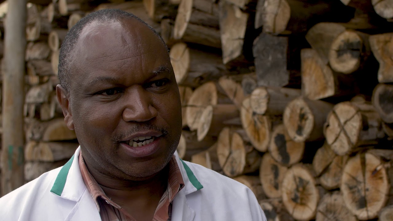 GIZ | Kenya: Energy Efficiency in the tea sector