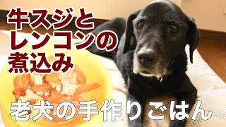 老犬の手作りごはん | 牛すじとレンコンの煮込み