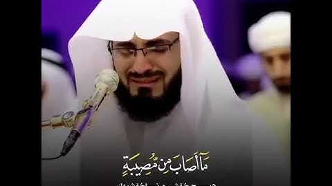 مقطع قران||تلاوة هادئة||ارح قلبك||حالات واتس اب { ستوريات قرآن } حالات قرانية للواتس اب||تلاوة خاشعة