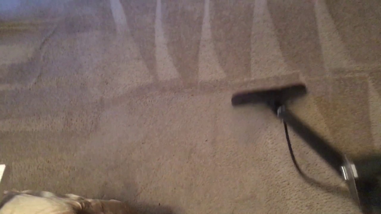 Auburn Carpet YouTube