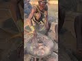 wild spice hunting, dudu finds herbs, catches prey and cooks perfect meal