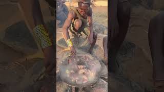wild spice hunting, dudu finds herbs, catches prey and cooks perfect meal
