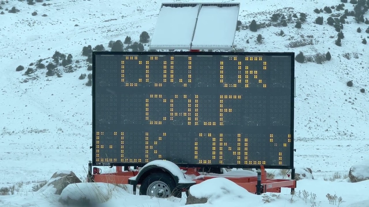 The National Elk Refuge Jackson, Wyoming December 2022