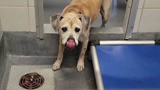 acs A260607