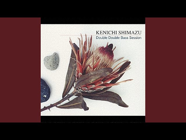 Kenichi Shimazu - Django