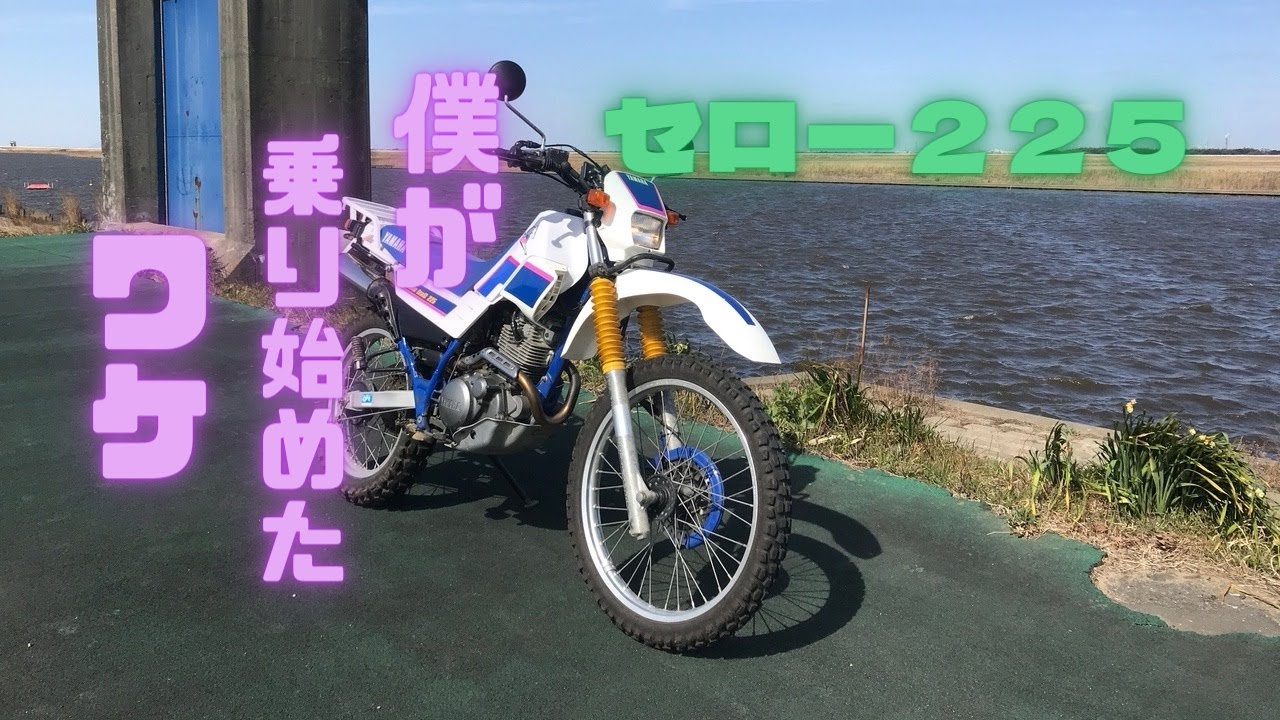 【値下げ】【動画あり！】セロー225(3RW4) 実働車両 セロー225のレストアを30分にまとめてみた【#総集編】 - YouTube
