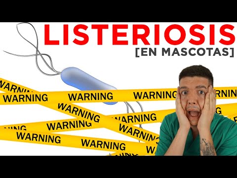 Video: Listeria En Perros