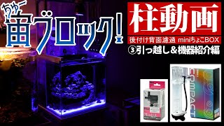 90センチ水槽にピッタリ！背面濾過槽　スキマー効率強化！ mqdefault.jpg