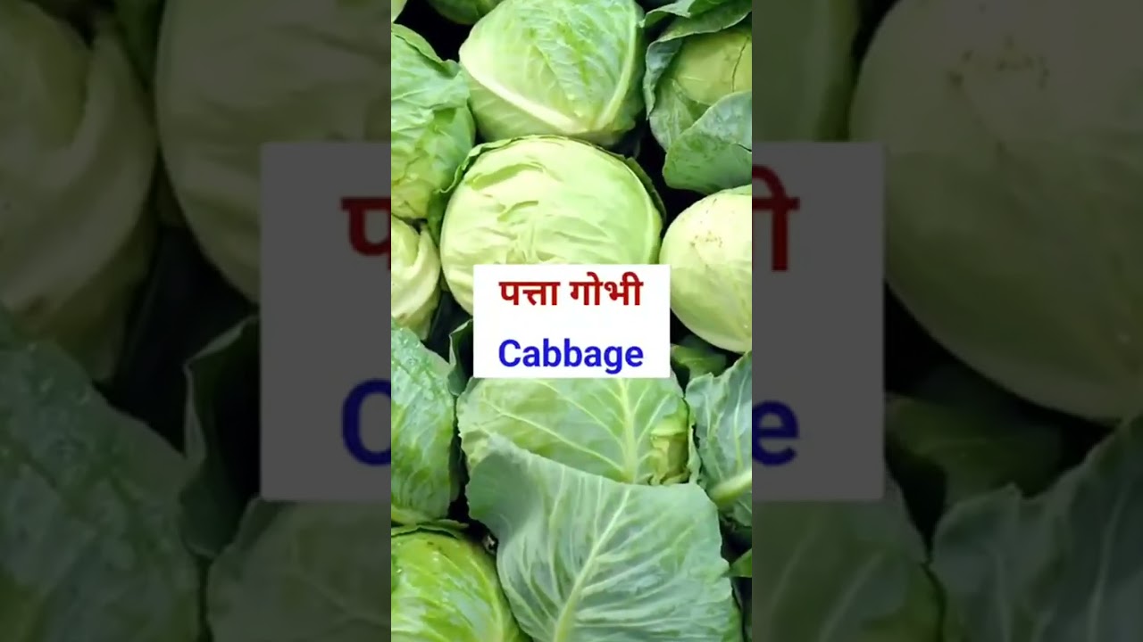 Daily Use English Words 