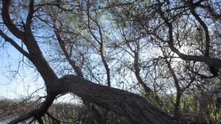 Áreas Naturales Protectoras- La Lagunita del Ciprés pt.1