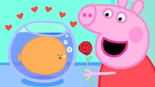Peppa Pig Official Channel ‚ù§Ô∏è Peppa Loves Goldies the Fish - Valentine's Special | Kids Videos