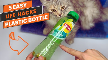 5 Brilliant Ideas From Plastic Bottles! Don
