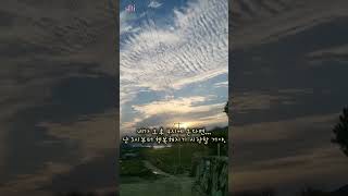 #공감연애 #어린왕자 #어린왕자명대사 #도망가자 #선우정아 #자막영상 #감성쇼츠 #사람의마음 #길들임 #기다림 #외로움 #관계의기술 #마음의거리 #마음공부 #sfti사주