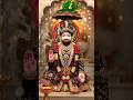 तेरा खाटू श्याम बाबा🌹🌹🙏🙏🌹🌹#treanding #ytviral #shyam #baba #shorts #viral #video #reels #jyotigupta