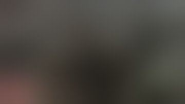 Downfall - The War is Over