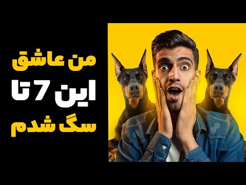 تصویری: 7 دلیل پارس سگها