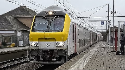 Train at Écaussinnes Station (4K) 11-02-25