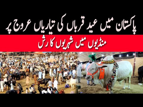 Arrival Of Eid-ul-Adha, Citizens Have Turned To Cattle Markets