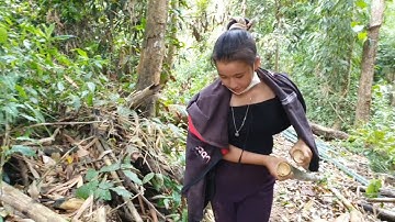 Peb txiav xyoob los fiab pob tawb rau me nyuam qaib