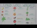 JUMBLED WORDS WORKSHEET WITH PICTURE FOR LKG ,UKG,CLASS 1 KIDS( correct words )