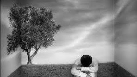 { ومن الناس من يعبد الله على حرف } تلاوه خاشعه من سورة الحج