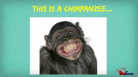 Effective Questioning Techniques