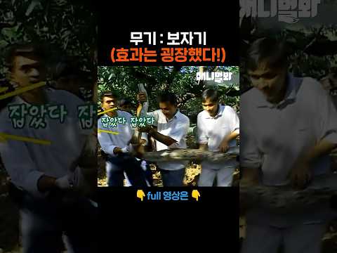 근데 이제 몬스터볼이 없어서 맨손으로.. #애니멀봐 #shorts