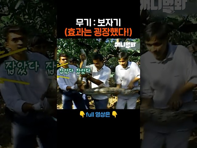 근데 이제 몬스터볼이 없어서 맨손으로.. #애니멀봐 #shorts