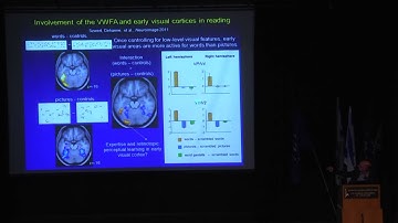 Heller Lectures | "How Learning to Read Changes the Brain" | Prof. Stanislas Dehaene