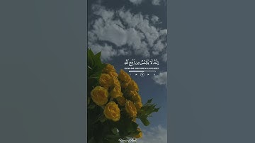 ولا تيأسوا من روح الله | القارئ اسلام صبحي