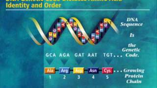 Tube And Berger - Straight Ahead Tom Neville Remix